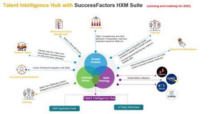 A Journey Of Talent, Chemistry, And Success