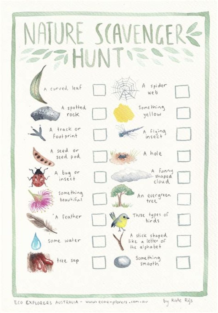A Nature-Inspired Journey For Kids
