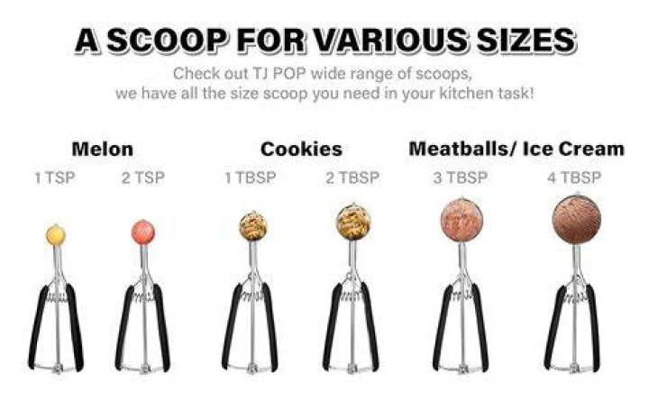 BlinkDash | Scoop