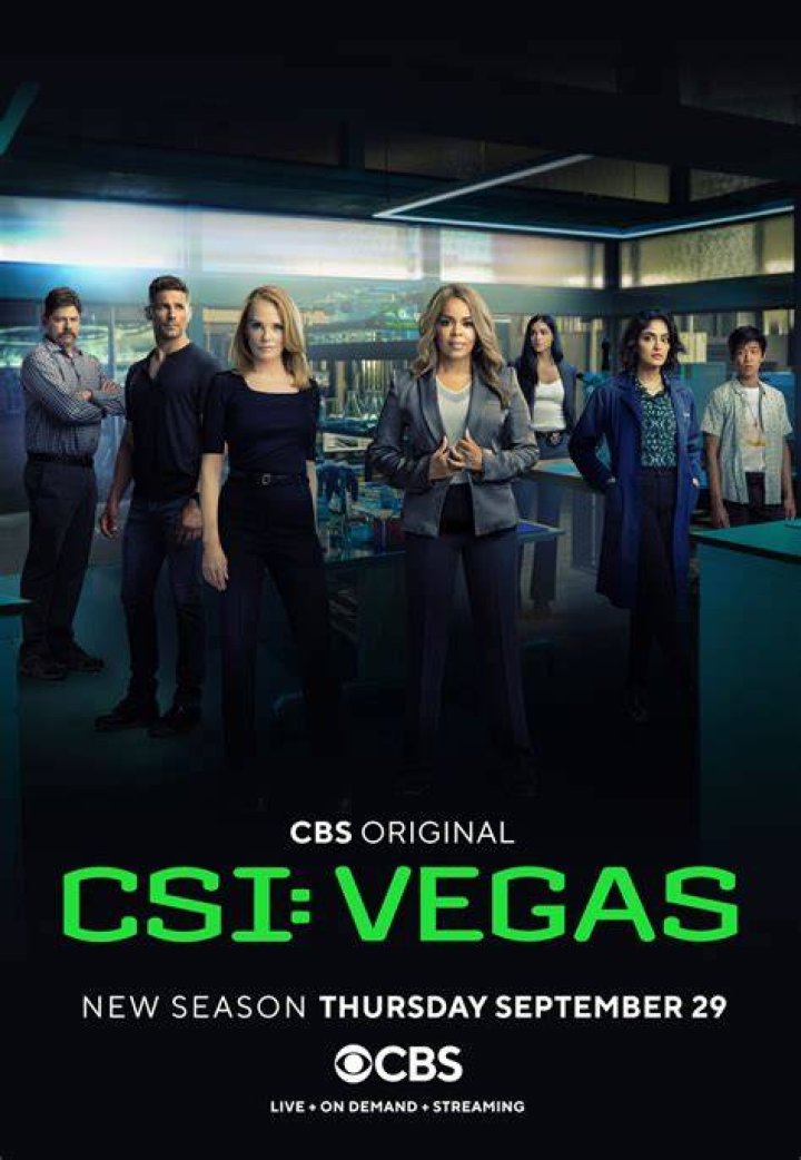CSI: Vegas - What Happened To Paula Newsome's Legs?