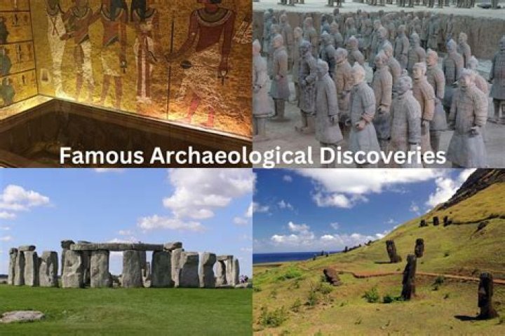 Discoveries And Insights For The "who11" Niche