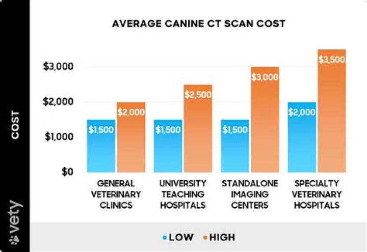 How Much Does a Dog CT Scan Cost?