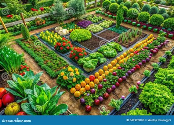 Maximize Yield In Small Gardens