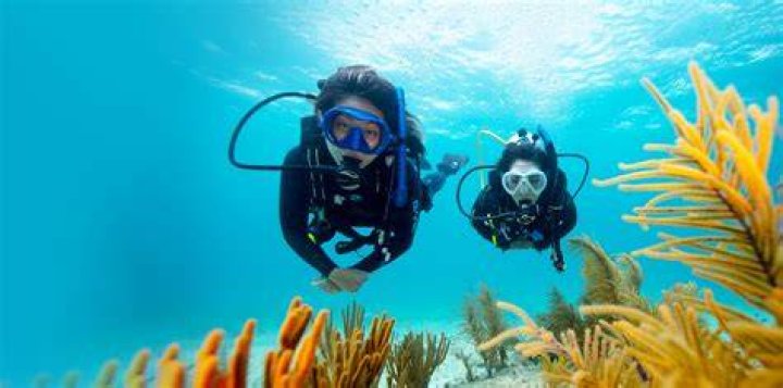 Scuba Diving With Steph: An Underwater Adventure
