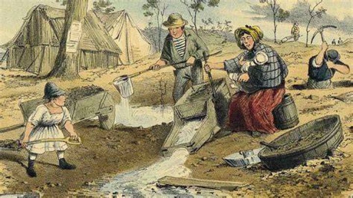 Unveiling The Reasons Behind Todd Hoffman's Departure From "Gold Rush"