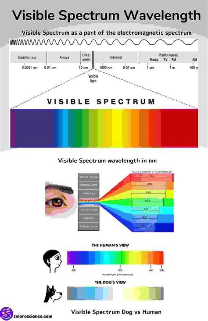 Unveiling The Spectrum Of "Slash Ethnicity"