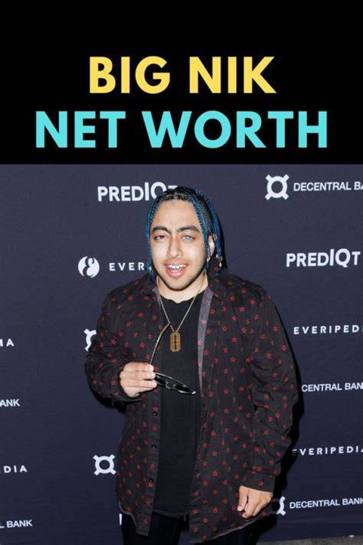 ZingX | Big Nik Net Worth